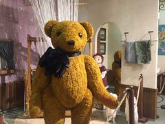 -济州岛泰迪熊博物馆