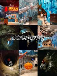 -探洞工场(重庆爱琴海旗舰店)
