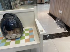 -瑞鹏宠物医院·内科·中兽医·骨科(苗圃店)
