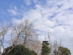 -洋湖国家湿地公园