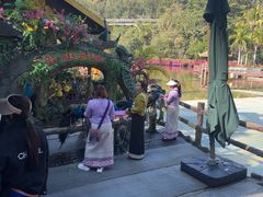 -西双版纳原始森林公园