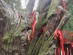 -涂山风景区
