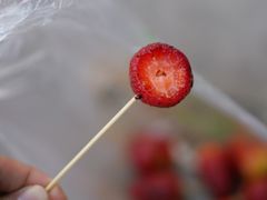 草莓-雪儿钱局泡菜