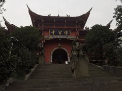 -铁山坪森林公园