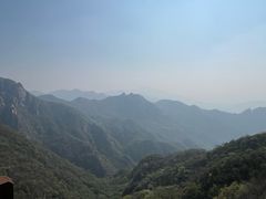 -大岭沟猕猴桃谷风景区