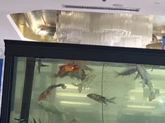 -玉雪春天(中正花园店)