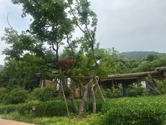 -杭州开元森泊度假乐园