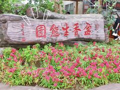 -盈香心动乐园
