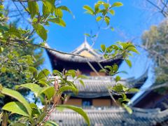 -龙华寺