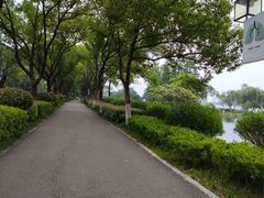 -金银湖国家城市湿地公园