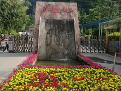 -少华山国家森林公园