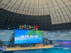 -泉城欧乐堡海洋极地世界