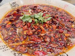 -陈麻婆豆腐(旗舰店)