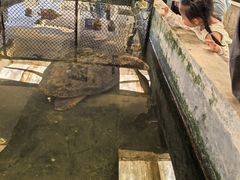 -硇洲岛旅游区