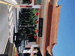 -深圳仙湖植物园