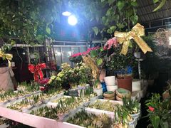 -曲阳花鸟市场(曲阳路店)