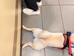 -麦当劳(郴州北湖店)