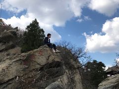 -北京鹫峰国家森林公园