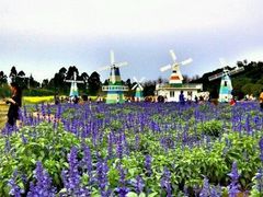 -松山湖南湖湾露营营地