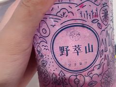 -野萃山·潮汕厚果汁(十亩地店)
