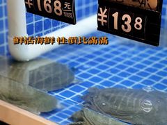 -金龙·打边炉(南京西路店)