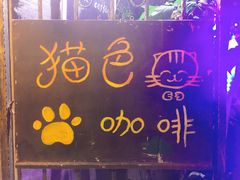 -猫色咖啡·猫咖