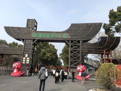 -溱湖国家湿地公园