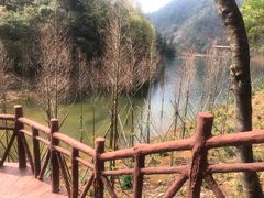 -广州市石门国家森林公园