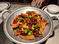 -新渝城·川菜·火锅(区庄店)