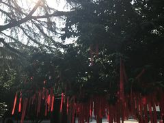 -西安青龙寺遗址景区