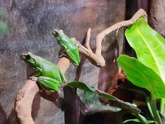 -正佳雨林生态植物园