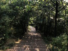 -杭州半山国家森林公园