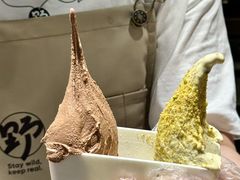 -野人先生Gelato(上海长宁龙之梦店)