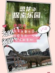 -恐龙探索乐园(磁器口店)