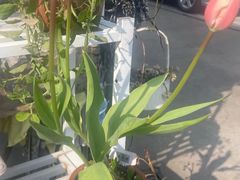 -宁波杉井奥特莱斯广场