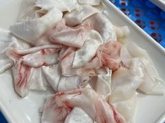 鱼泡-中山脆肉鲩(新圳东路店)