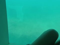 -亚龙湾海底世界