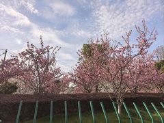 -浦口码头(轮渡站)