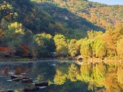-关门山森林公园