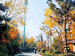 -红河谷晴天别墅轰趴馆
