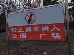 -丁香湖公园