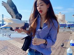 -大连星海广场音乐喷泉