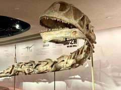 -自贡恐龙博物馆