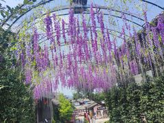 -茅山东方盐湖城景区