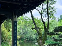 -西溪国家湿地公园