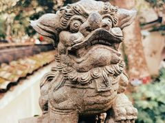 -普陀山风景名胜区-法雨禅寺