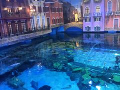 -华夏文旅海洋公园