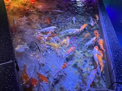 -正佳极地海洋世界