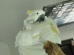 -青藏高原野生动物园