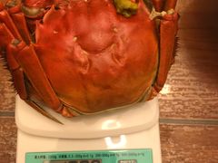 -喜洋洋蟹庄(阳澄湖店)